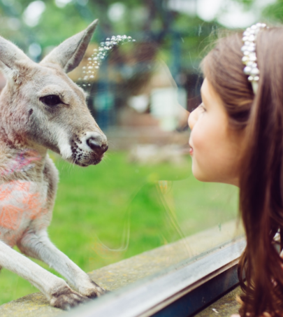 Noodles are the best